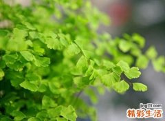 心碎忧郁的微信伤感昵称，心伤难医的伤感网名