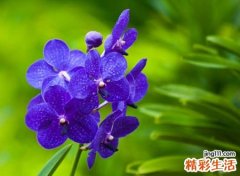 好听简洁的英文名网名，冷淡伤感的英文昵称带翻译