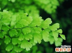 最潮的昵称，时尚潮流的微信个性网名