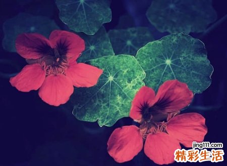 有内涵略有小污的微信网名，很污很火的昵称