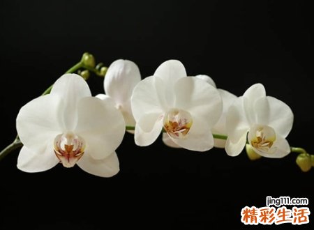 冷漠绝情的网名，狠心绝情让人心寒的伤感微信名字