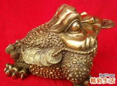 梦见金蟾有什么预兆，女性做梦梦到蟾蜍