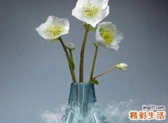 梦见花瓶碎了是什么意思，做梦梦到大花瓶突然自己碎了