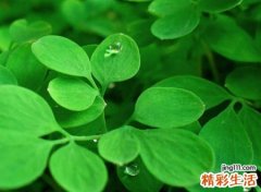 抖音名称，抖音里巨火的时尚网名