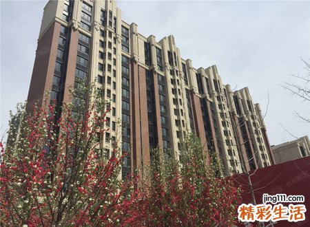 买房买10楼十全十美