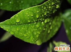 失恋心痛心伤的微信伤感网名，对爱情失望的颓废昵称
