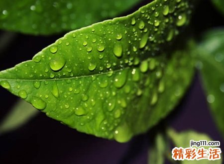 失恋心痛心伤的微信伤感网名，对爱情失望的颓废昵称