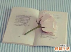 水瓶座是什么命运