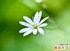 忧郁烦闷的古风唯美名字，颓废叹息的非主流qq昵称