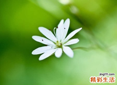 忧郁烦闷的古风唯美名字，颓废叹息的非主流qq昵称