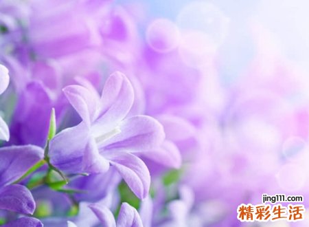 心累乏味有些伤感的快手名字，寂寞孤单无人爱的伤感网名