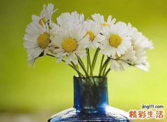 2022年是平年还是闰年，2022虎百年难遇吗