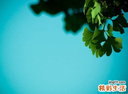 心痛含泪的抖音伤感名字，难忘旧伤的抖音网名