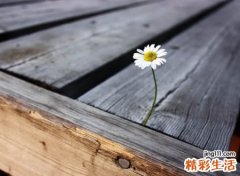 一个人悲伤绝望的伤感网名，心里非常苦的微信昵称