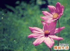 孤独的微信名字，决心忘掉一个人的微信昵称