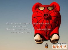 2021年笑死人不偿命的网名，搞笑贱贱的幽默昵称