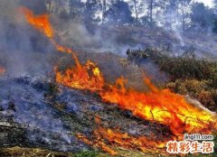 梦见失火是什么意思，梦到着火了特别大的火