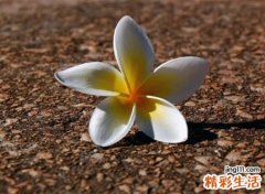 让心归零的感性昵称，看淡一切释然的成熟网名