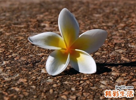 让心归零的感性昵称，看淡一切释然的成熟网名