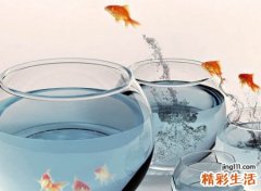 简单朴素的微信个性名字，运气比较旺的经典网名