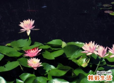 和过去告别的网名，忘掉一切从头开始的微信名字