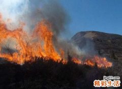 梦见大火烧山有什么预兆，做梦梦到火烧山定会发财吗