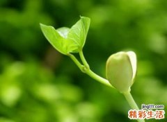 靠自己努力奋斗的励志网名，告别过去而又霸气网名