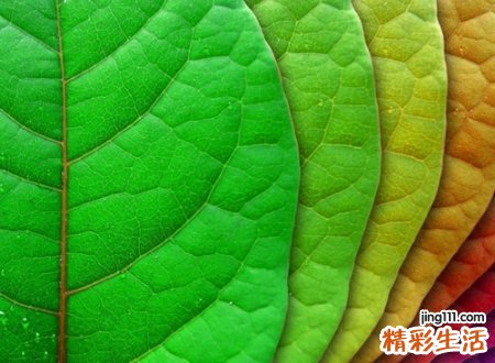 快手能火的网名昵称,快手热门昵称倾力推荐