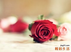 金牛座的幸运色是什么颜色