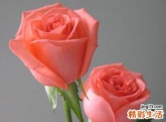 白羊座幸运色是什么颜色