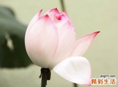 三字网名干净简单，3个字高雅有气质的可爱网名