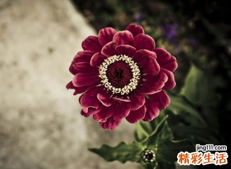 最潮流好听的ins风原宿网名，有高级感的小众ins风网名
