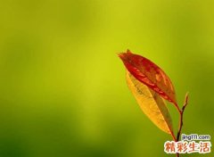 好心态又坚强的网名，彻底改变自己的微信昵称