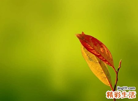 好心态又坚强的网名，彻底改变自己的微信昵称
