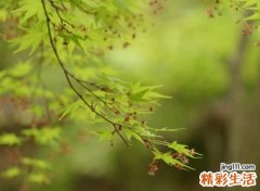 极度绝望看透了死心的网名，伤感落泪的微信名字