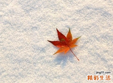 告别过去而又霸气网名，重新开始的微信昵称