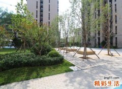 日进斗金催财布局