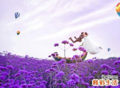 属马属蛇婚姻如何，男蛇与女马的婚姻命运