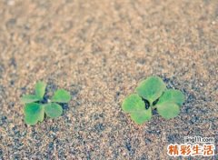 成熟有深度的网名，让人过目不忘的内涵微信昵称