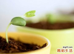 最有深意和意境的网名，静心有深意的微信昵称