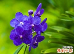 默默思念一个人的网名，放不下忘不掉的网名大全