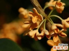 最吸引人的微信干净昵称，心里住着一个人的网名