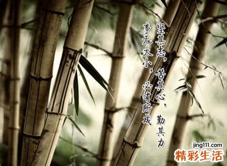 平淡有内涵的网名，自然随性一点的微信昵称