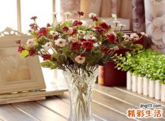已婚女人梦见假花好不好，做梦梦到白色的假花