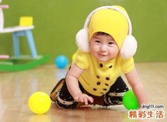 2019年是木命还是土命，19属猪平地木命好吗