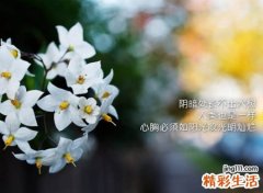 看淡一切心痛绝望的网名，伤感让人看了心酸想哭的微信昵称