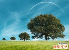 唯美有诗意的古风网名，罕见有意境的唯美昵称