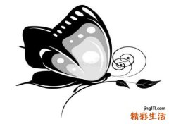 梦见黑蝴蝶有什么预兆，做梦梦到黑蝴蝶咬着你不放