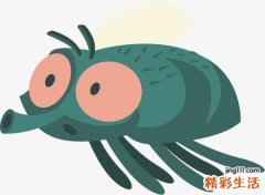 梦见苍蝇是什么兆头，女人梦见屋里很多苍蝇