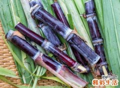 梦见甘蔗有什么预兆，已婚女人梦见甘蔗